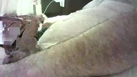 cv79brctba online show from October 2025 02:58:02 AM