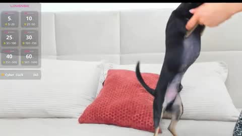 Eva online show from April 2026 07:07:02 PM