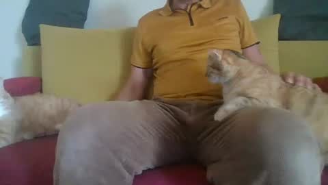daddycomehome1 online show from June 2026 08:16:02 AM