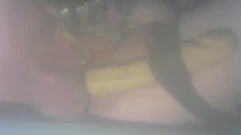 daddyslilcummwhore online show from December 2025 07:59:02 AM