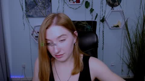 Snapshot of daisy_candy chatting on January 2025 11:56:01 PM Little Di online show from January 2025 11:56:01 PM