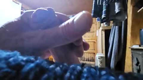 dave online show from October 2025 08:49:02 PM