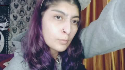 Snapshot of dak_7 chatting on February 2025 03:13:01 AM    --  -- help me reach 100 hands up  online show from February 2025 03:13:01 AM