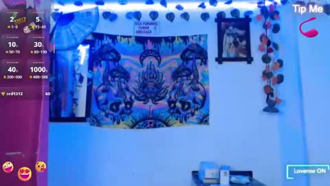 Dakko online show from July 2026 11:35:01 AM