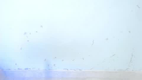 VALENTINA  online show from October 2025 08:48:02 AM