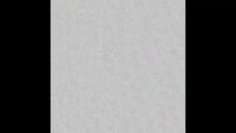 Dakota online show from November 2025 12:08:02 PM