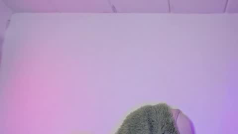 Snapshot of damn_that_booty chatting on February 2025 04:21:01 AM Criss online show from February 2025 04:21:01 AM