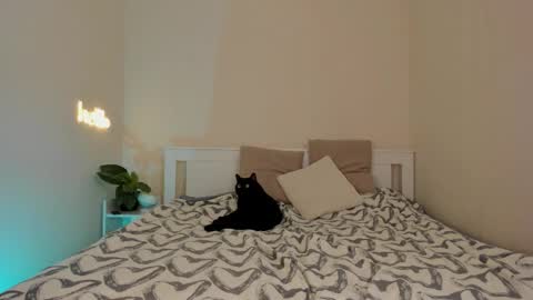 Dana online show from December 2025 10:15:01 PM