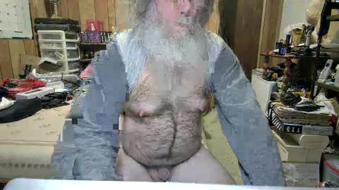 Dana online show from December 2024 04:35:02 AM