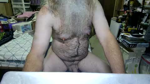 Dana online show from September 2025 03:13:01 PM