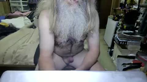 Dana online show from March 2026 04:24:02 PM