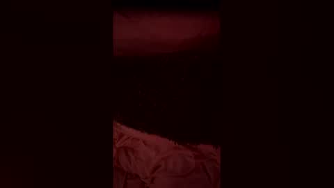 danandchasenj online show from May 2026 01:55:01 AM