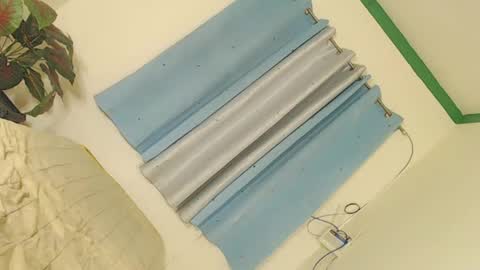 Snapshot of dangerouscock69_nica chatting on January 2025 02:51:02 PM Nica online show from January 2025 02:51:02 PM