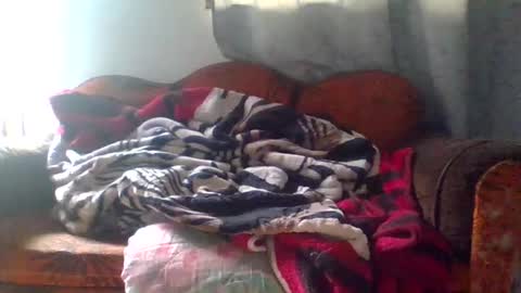 dani9821569006 online show from March 2026 05:08:01 PM