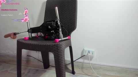 DANI online show from January 2025 01:28:01 PM