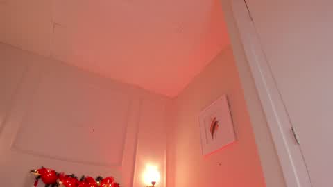 Hi I am Dani online show from December 2024 11:39:02 AM