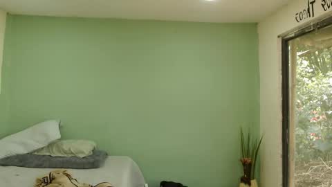 danielitopapii online show from January 2026 04:00:01 PM