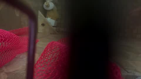 dankcock69420 online show from November 2025 05:24:01 AM