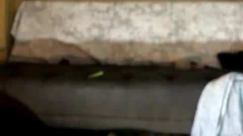 dandeb online show from October 2025 01:04:02 AM