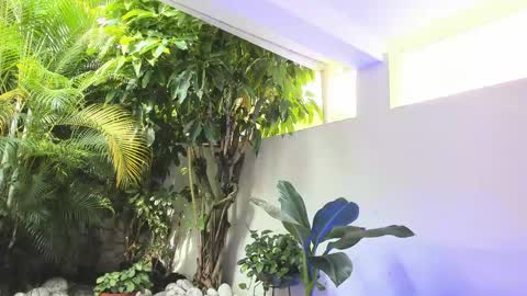 Dannamunoz130 online show from May 2026 01:29:01 PM