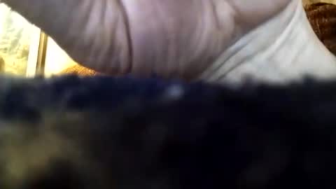 dannowisc online show from April 2026 03:26:01 AM