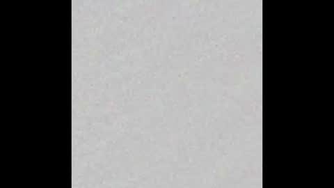 Dannyaa online show from September 2025 11:56:02 AM