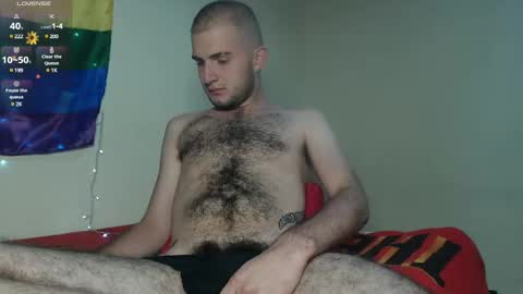 Snapshot of dante_bear chatting on February 2025 03:40:01 AM dante_bear online show from February 2025 03:40:01 AM