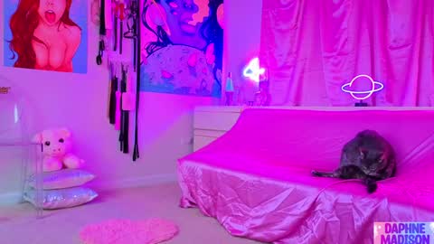 Daphne Madison online show from February 2026 10:14:01 PM