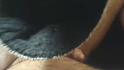 dapppper online show from March 2026 10:21:01 AM