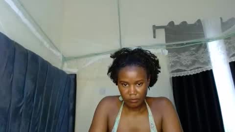 Tiff online show from February 2026 07:10:02 AM