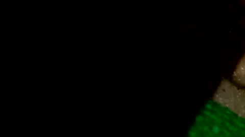 david1982yesyes online show from April 2026 12:39:01 PM