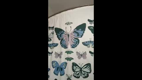 davidb510suckme online show from May 2026 03:48:01 AM