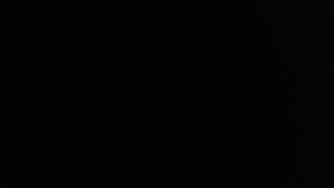 dav online show from February 2025 11:20:02 AM