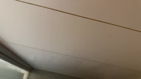 Hornybear online show from January 2026 06:39:02 AM