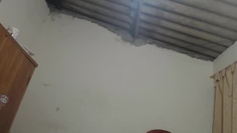 Dylon online show from November 2025 09:31:01 AM