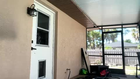 Dazey online show from April 2026 08:23:01 PM