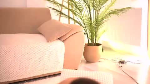 Tamara online show from July 2026 01:26:01 PM