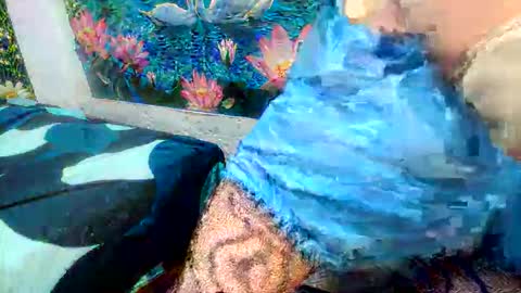 debrastephens online show from May 2026 11:19:01 AM