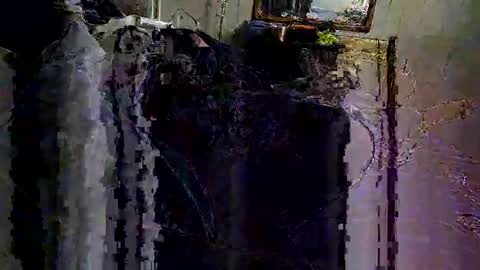 decoyx5o5 online show from February 2025 06:40:01 AM