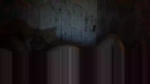 deepdiveme online show from April 2026 04:08:02 AM