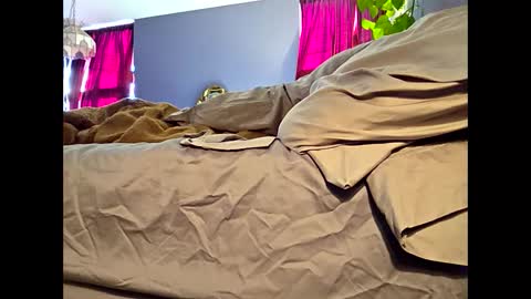 definitelymasterbating online show from March 2026 02:42:01 PM