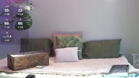 Kitty online show from March 2026 08:18:01 AM