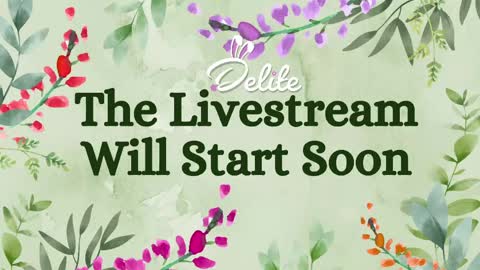 Snapshot of delitevip chatting on May 2026 08:11:02 AM DeLite Next stream on Wednesday or Thurdsay online show from May 2026 08:11:02 AM