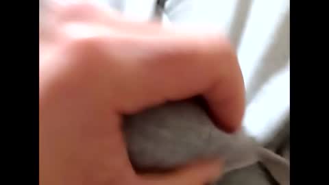 deliv_shopi online show from January 2026 10:39:02 AM