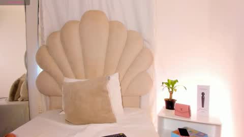   online show from February 2026 01:25:01 PM