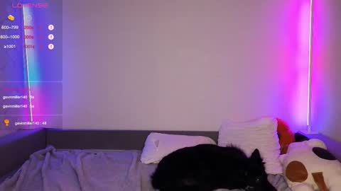 Den online show from December 2025 02:15:01 PM