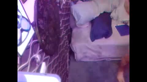 denveversbb online show from October 2025 11:30:01 AM