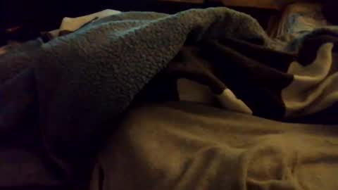 der_wanderer12 online show from November 2025 10:19:01 PM