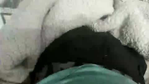 destrosandotelculo online show from November 2025 12:02:01 AM