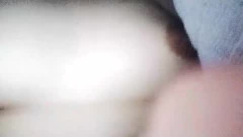 Snapshot of desurvv0999 chatting on November 2025 08:03:02 AM desurvv0999 online show from November 2025 08:03:02 AM
